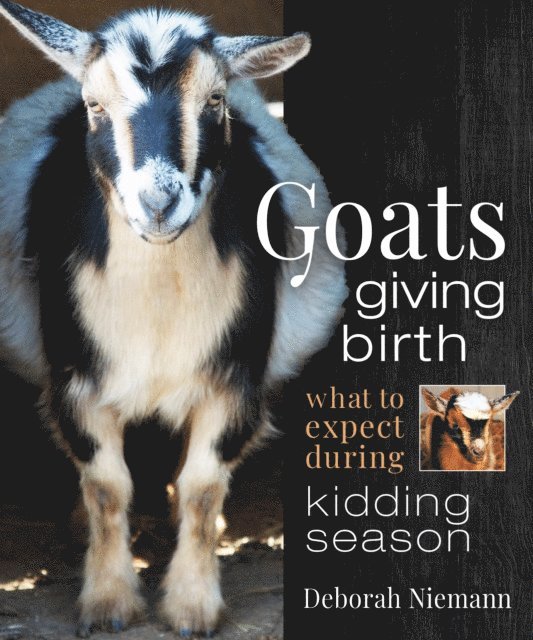 Deborah Niemann - Goats Giving Birth, E-bok. Tillgänglighet: Lägg i varukorg