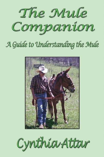 Mule Companion: A Guide to Understanding the Mule
