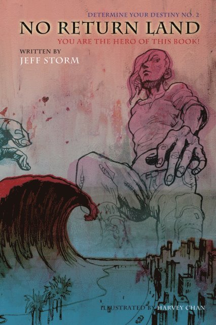 Jeff Storm - No Return Land, Determine Your Destiny No. 2: You Are the Hero of This Book!, E-bok