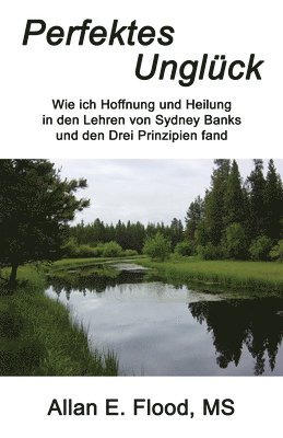 Allan E Flood - Perfektes Unglück, Häftad
