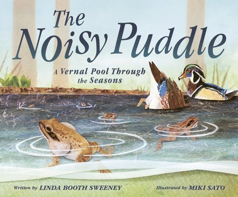 Linda Booth Sweeney - The Noisy Puddle: A Vernal Pool Through the Seasons, Inbunden