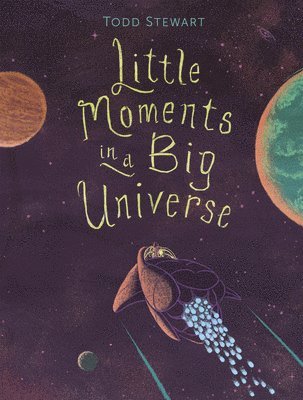 Todd Stewart - Little Moments in a Big Universe, Inbunden