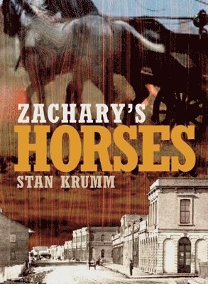 Stan Krumm - Zachary's Horses, Häftad