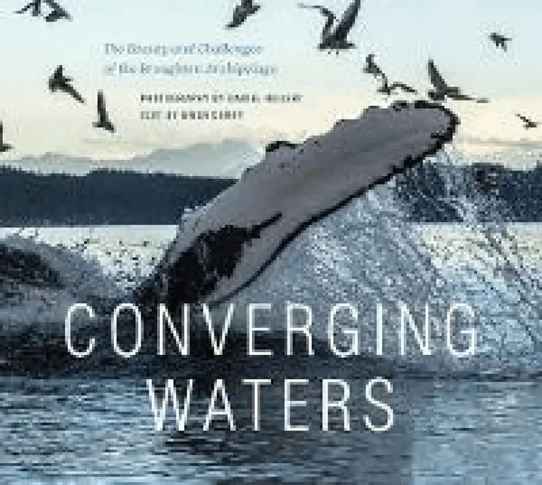 Gwen Curry - Converging Waters, Inbunden. Tillgänglighet: Lägg i varukorg