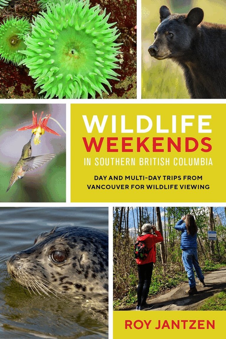 Roy Jantzen - Wildlife Weekends in Southern British Columbia, Häftad