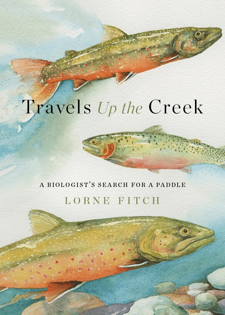 Lorne Fitch - Travels Up the Creek, Häftad. Tillgänglighet: Lägg i varukorg