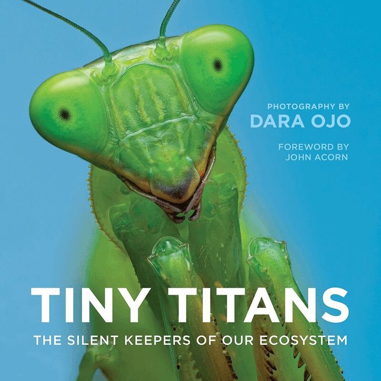 Tiny Titans, Inbunden