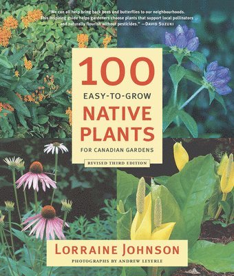 Lorraine Johnson - 100 Easy-to-Grow Native Plants for Canadian Gardens, Häftad