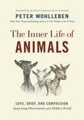 Inner Life of Animals
