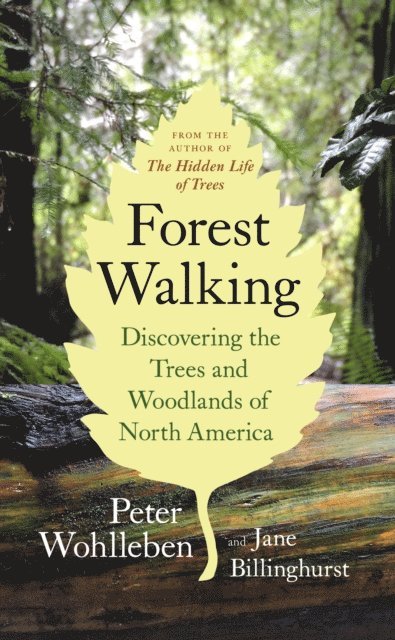Jane Billinghurst, Peter Wohlleben - Forest Walking, E-bok