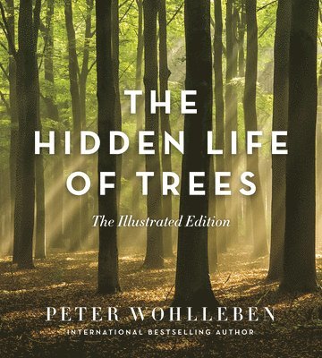 Peter Wohlleben - Hidden Life of Trees: The Illustrated Edition, Inbunden