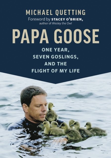 Michael Quetting - Papa Goose, E-bok