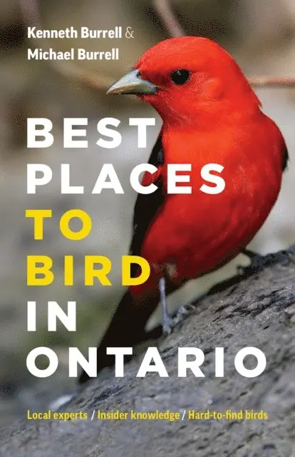 Michael Burrell, Kenneth Burrell - Best Places to Bird in Ontario, E-bok. Tillgänglighet: Lägg i varukorg