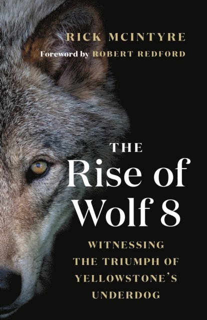 Rick McIntyre - Rise of Wolf 8, E-bok