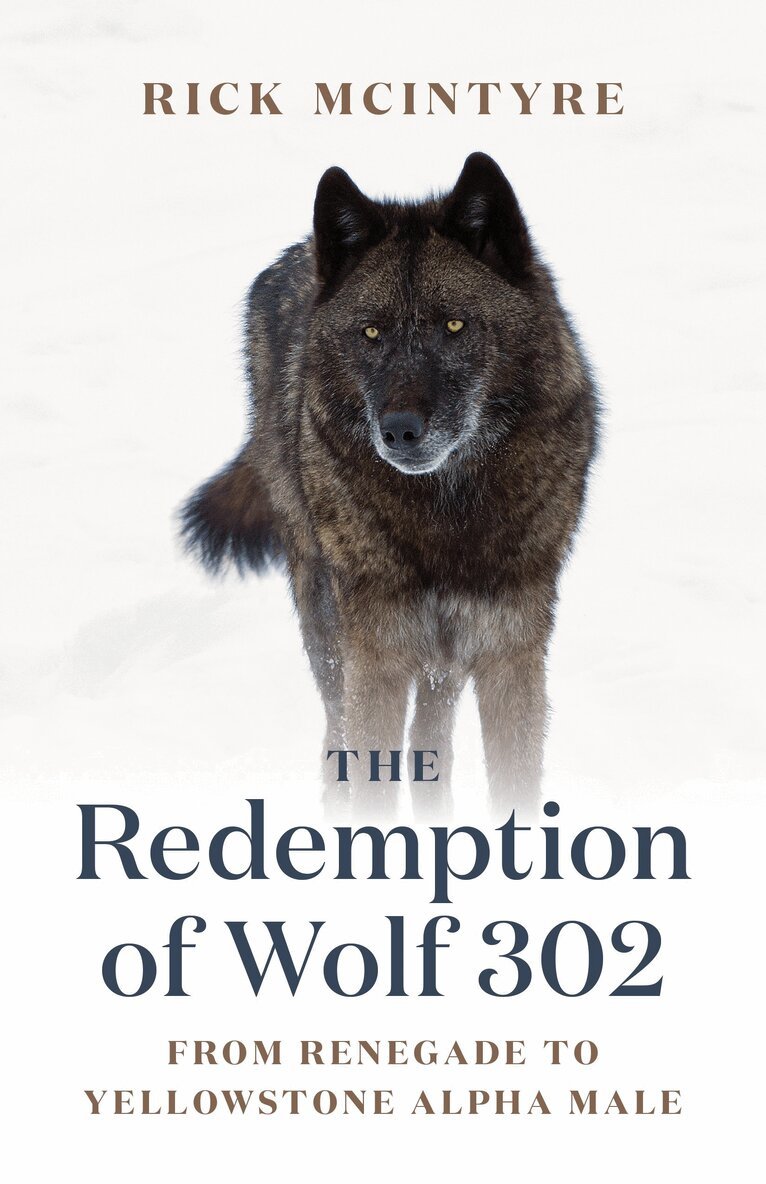 Rick McIntyre - Redemption of Wolf 302, Inbunden
