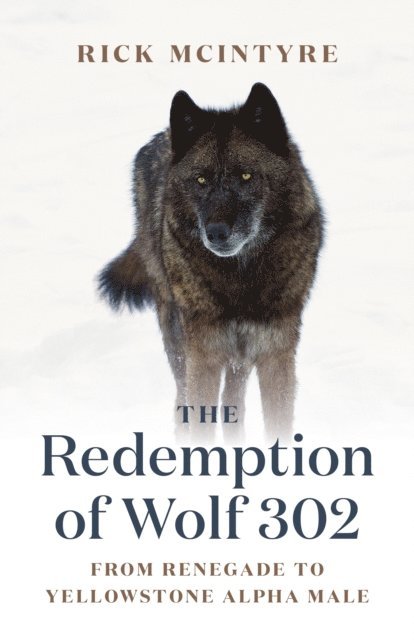 Rick McIntyre - Redemption of Wolf 302, E-bok