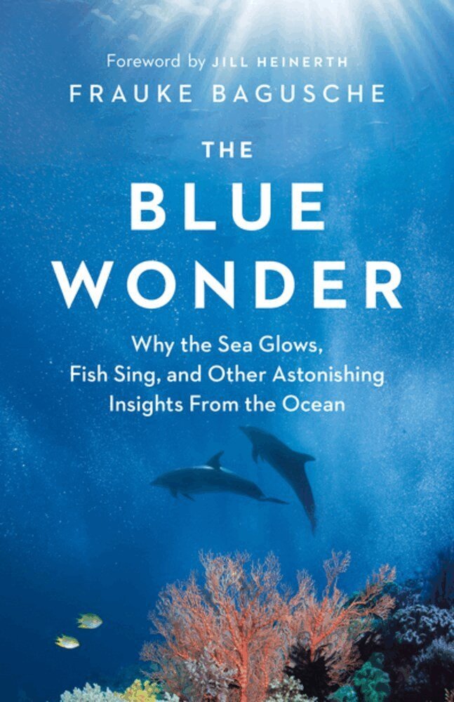 Frauke Bagusche - Blue Wonder, Inbunden