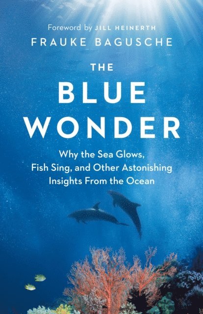 Frauke Bagusche - Blue Wonder, E-bok