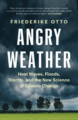 Angry Weather av Friederike Otto