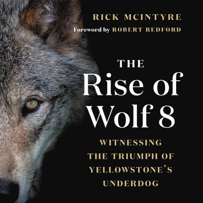 Rick McIntyre - Rise of Wolf 8, Häftad