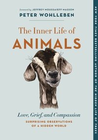 The Inner Life of Animals