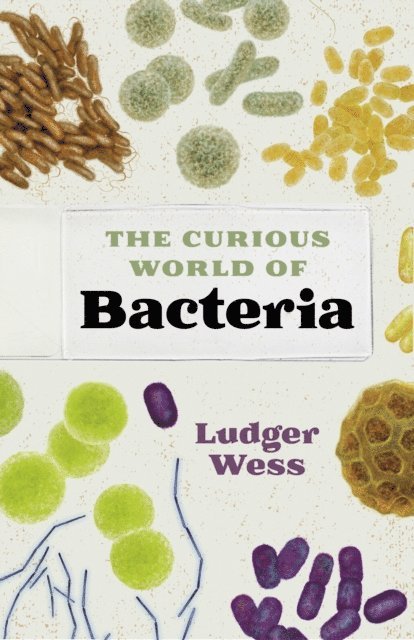 Ludger Wess - Curious World of Bacteria, E-bok
