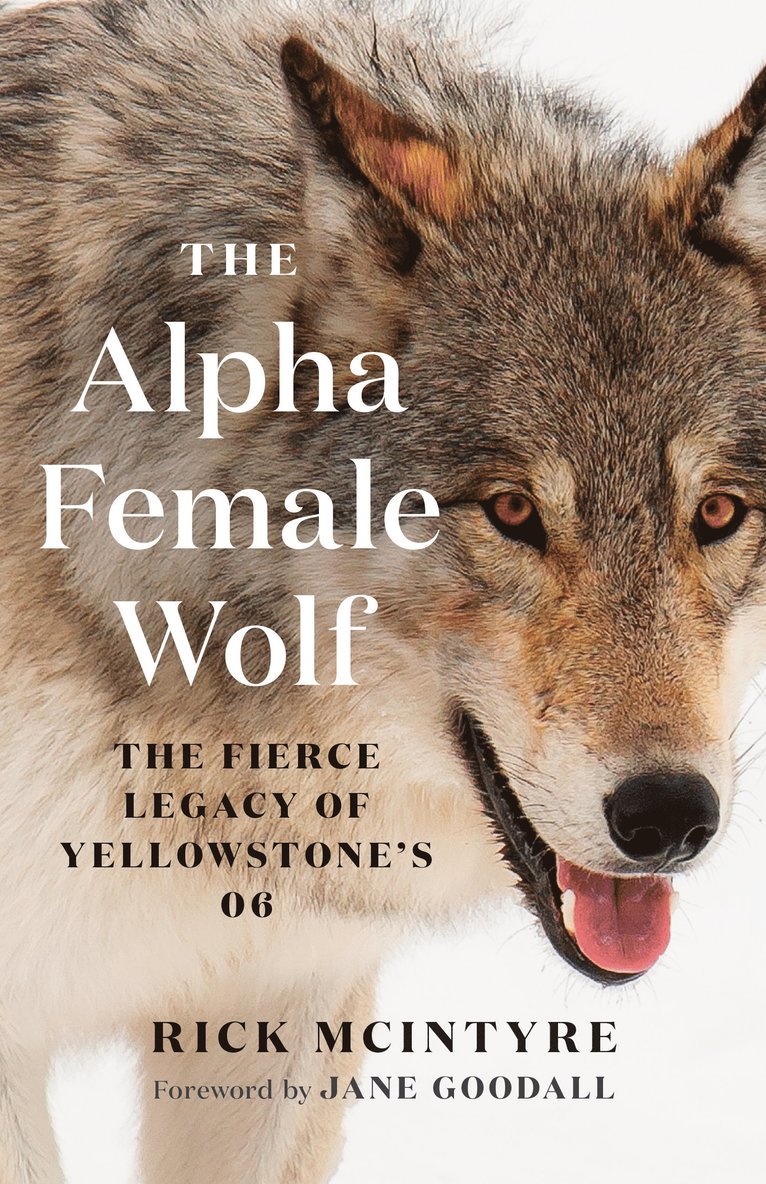 Rick McIntyre - Alpha Female Wolf, Inbunden