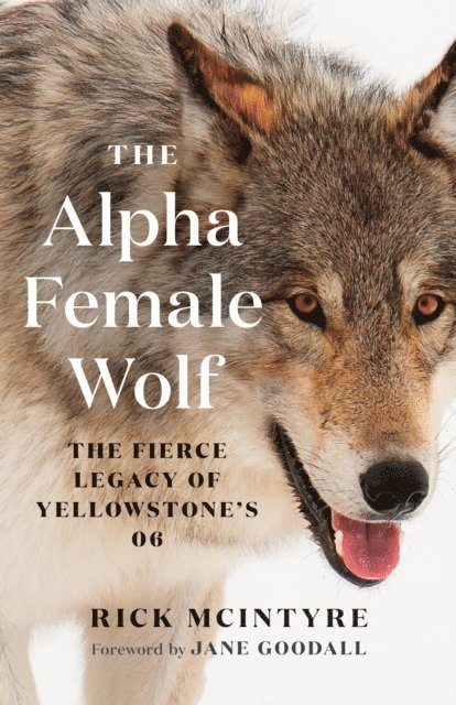 Rick McIntyre - Alpha Female Wolf, E-bok