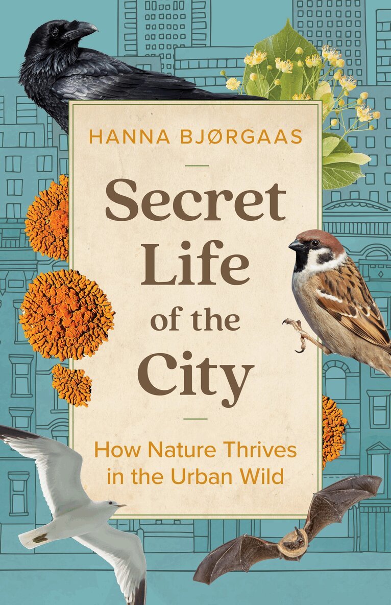 Hanna Hagen Bjørgaas - Secret Life of the City, Inbunden