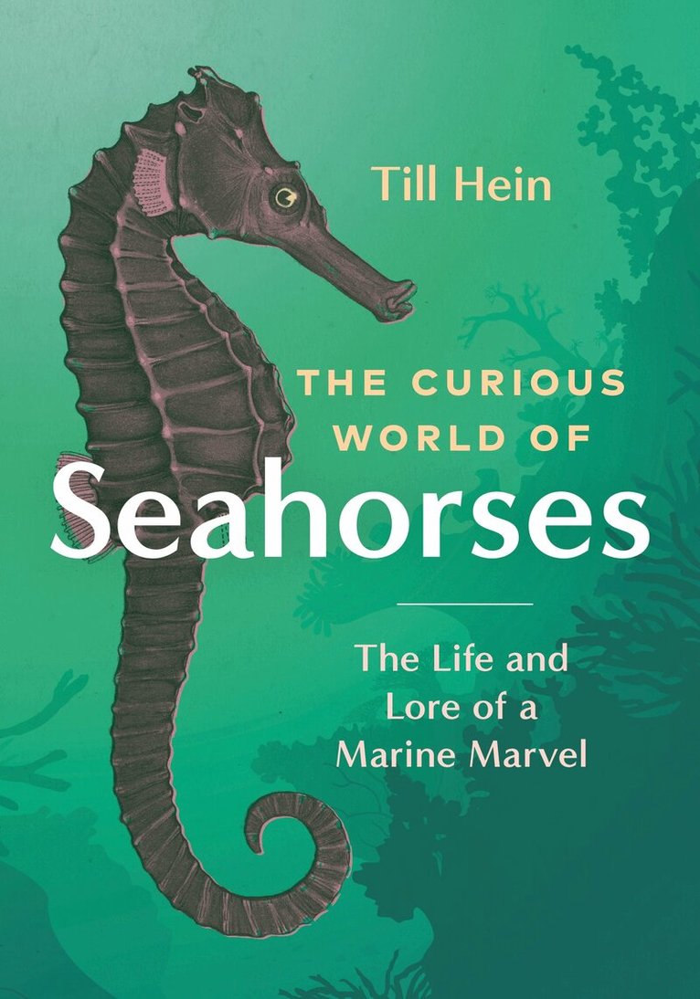 Till Hein - Curious World of Seahorses, Inbunden