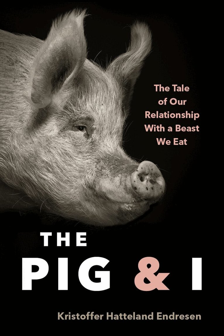 Kristoffer Hattleland Endresen - Pig and I, Inbunden