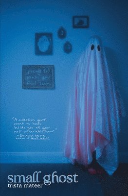 Trista Mateer - Small Ghost, Häftad