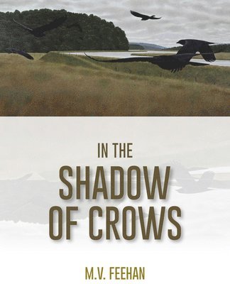 Mary Verna Feehan - In the Shadow of Crows, Häftad. Tillgänglighet: Lägg i varukorg