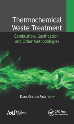 Elena Cristina Rada - Thermochemical Waste Treatment, Inbunden