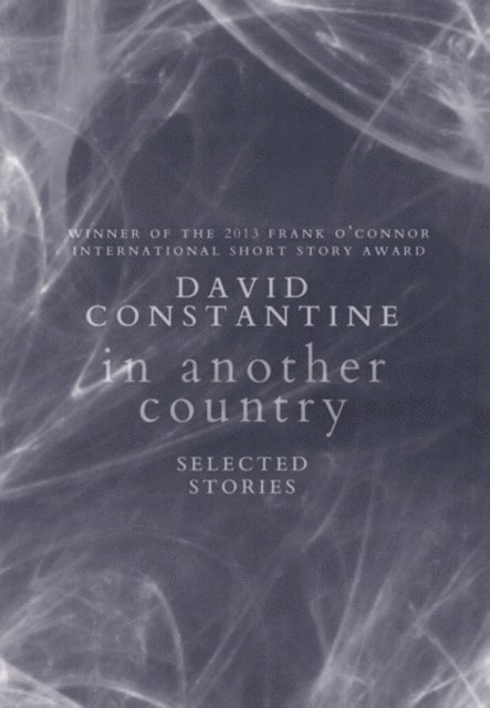 David Constantine - In Another Country, E-bok