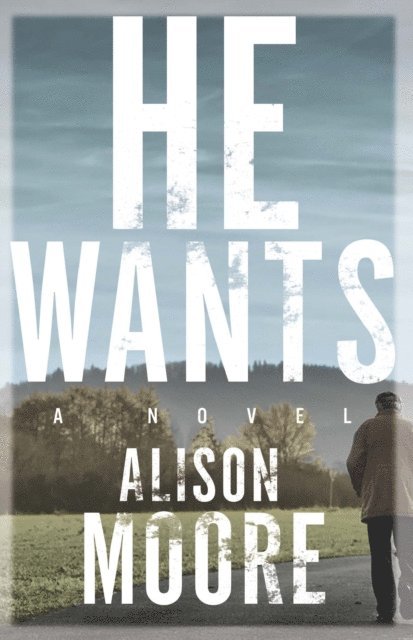 Alison Moore - He Wants, E-bok