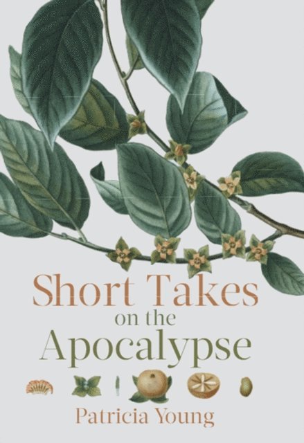Patricia Young - Short Takes on the Apocalypse, E-bok