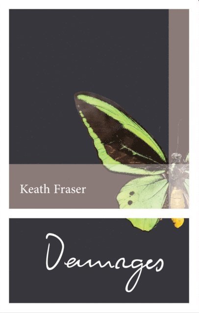 Keath Fraser - Damages, E-bok