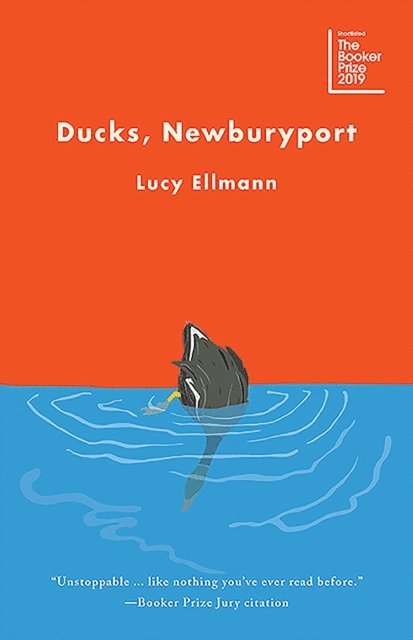 Lucy Ellmann - Ducks, Newburyport, E-bok