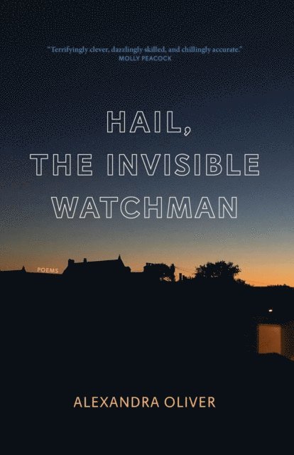 Alexandra Oliver - Hail, The Invisible Watchman, E-bok