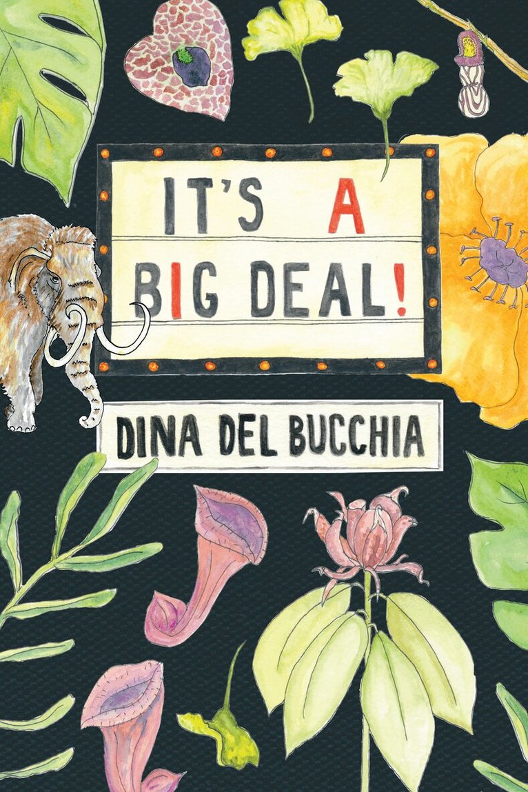 Dina Del Bucchia - It's a Big Deal!, Häftad