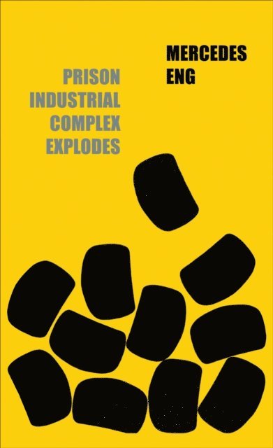 Mercedes Eng - Prison Industrial Complex Explodes, E-bok
