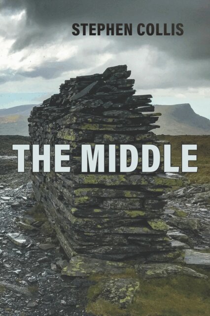 Stephen Collis - Middle, E-bok