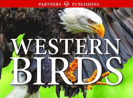 Krista Kagume, Gregory Kennedy, Andy Bezener - Western Birds, Häftad. Tillgänglighet: Lägg i varukorg