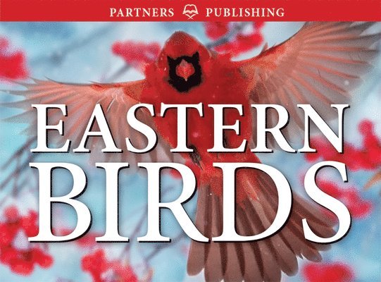 Krista Kagume, Gregory Kennedy - Eastern Birds: Pocket Guide, Häftad