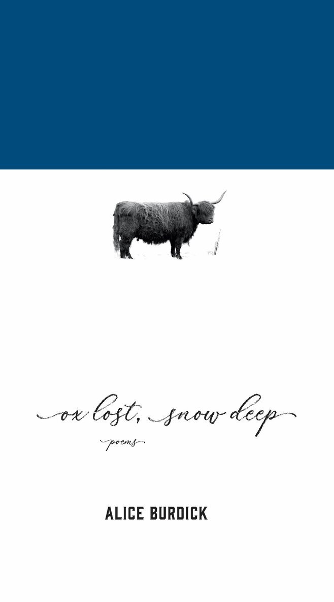 Alice Burdick - Ox Lost, Snow Deep, Häftad