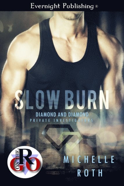 Michelle Roth - Slow Burn, E-bok