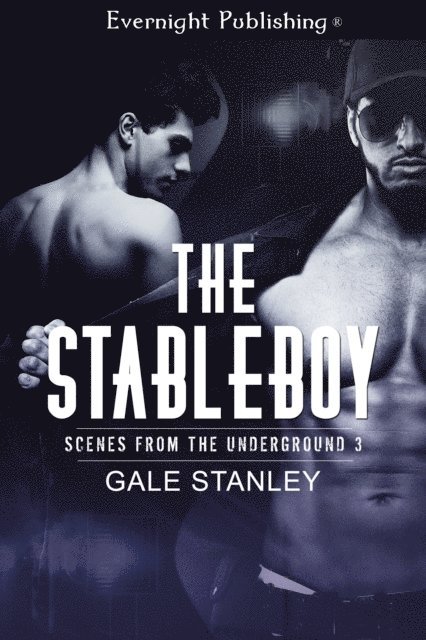 Gale Stanley - Stableboy, E-bok