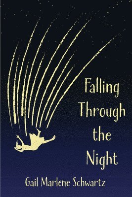 Gail Marlene Schwartz - Falling Through the Night by Gail Marlene Schwartz, Häftad