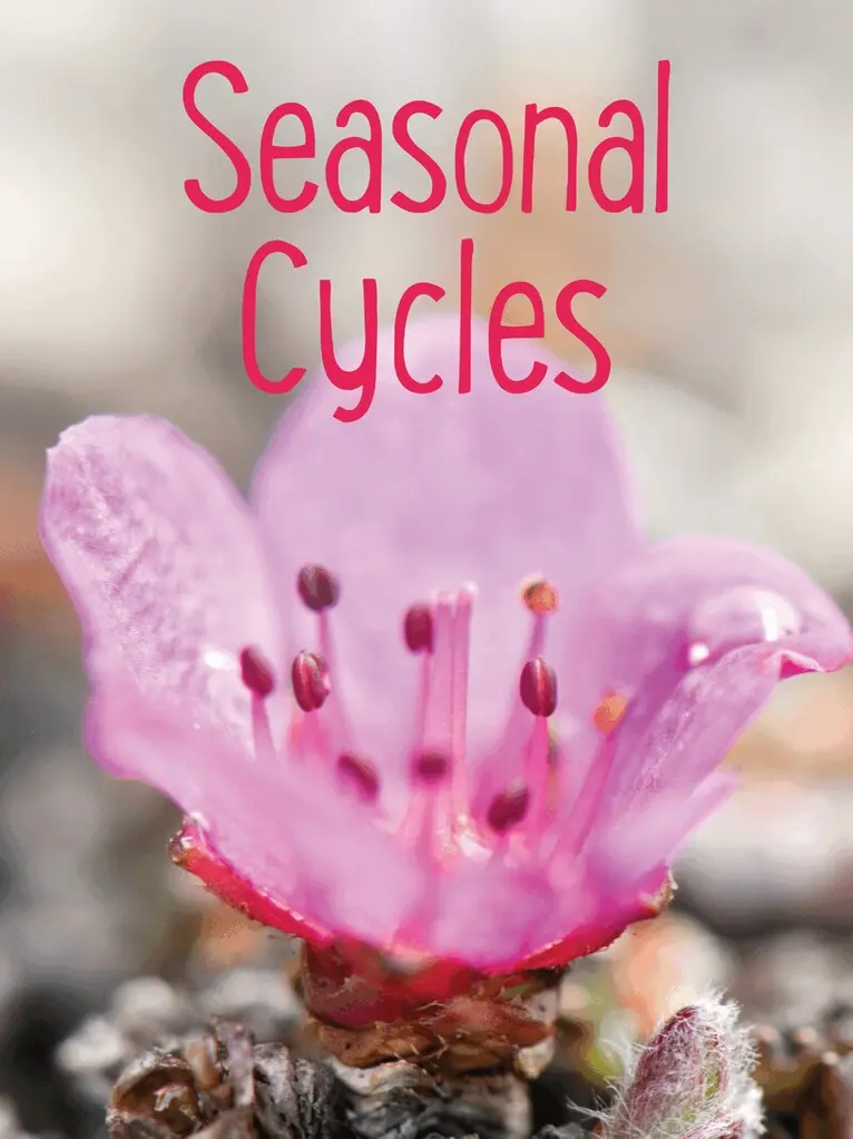 Nadia Mike - Seasonal Cycles, Häftad. Tillgänglighet: Tillfälligt slut